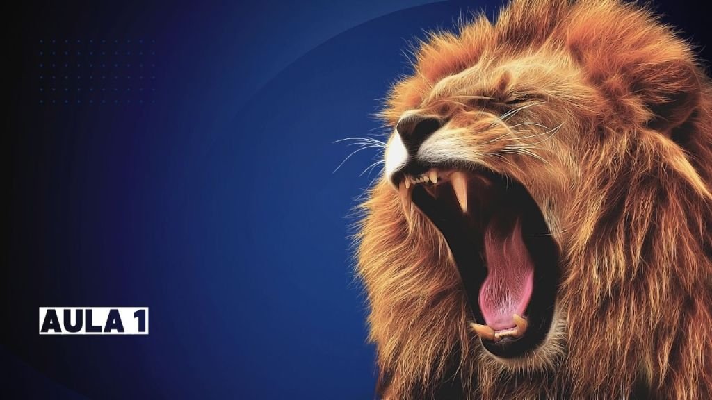 Assista esta aula bônus sobre Feedback Assertivo